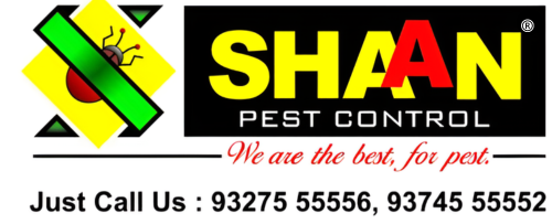 Shaan Pest Control – Your Trusted Pest Management Partner in Surat